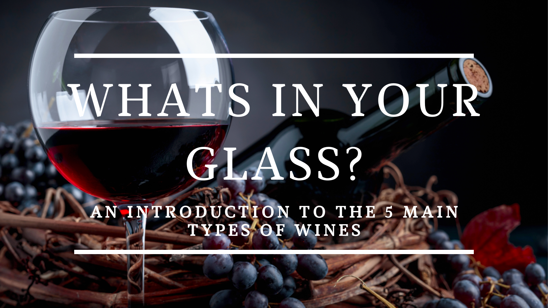 What's in Your Glass: An Introduction to the Main Types of Wine and some of our Favorites
